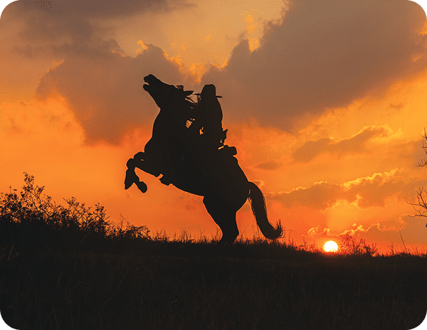 Silhouette of a rider on a rearing horse against an orange sunset.